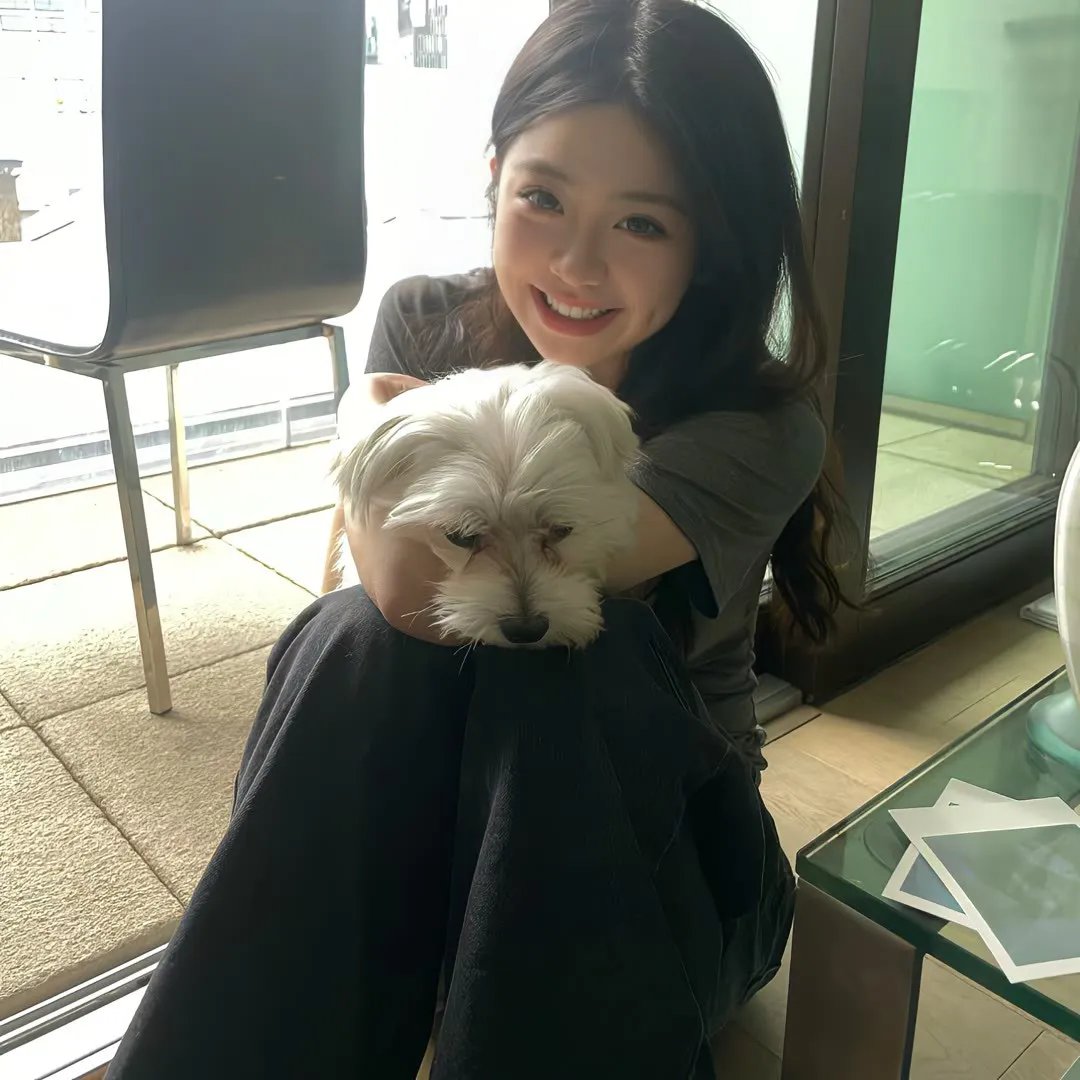 郊狼
